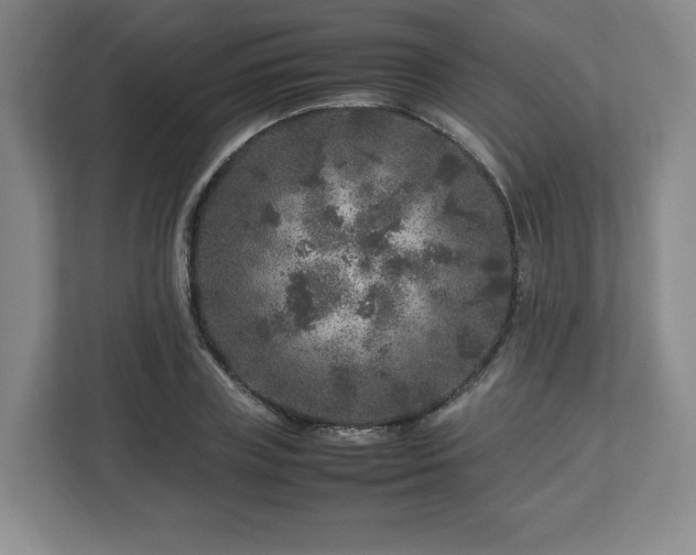 X0000112750835200908271540