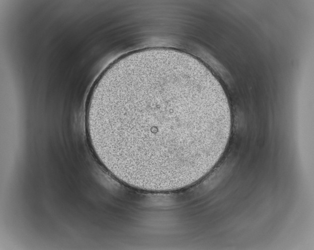 X0000112750836200908271540