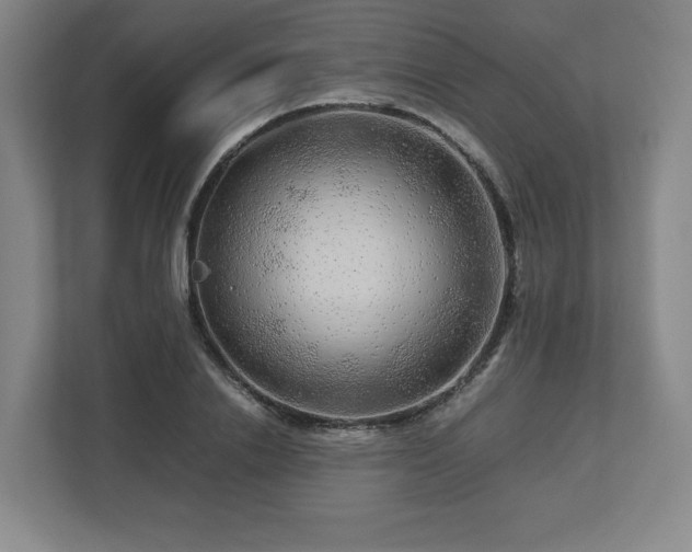 X0000112750838200908271540