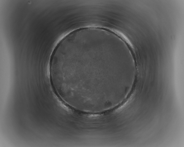 X0000112750839200908271540