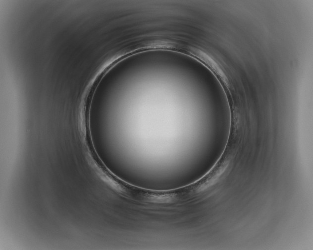 X0000112750843200908271540