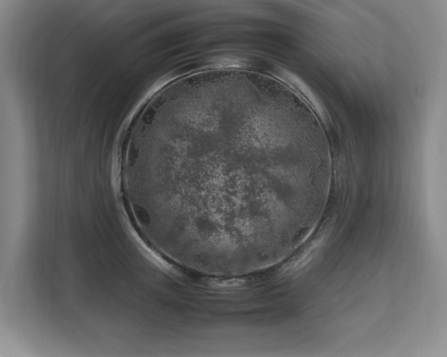 X0000112750851200908271540