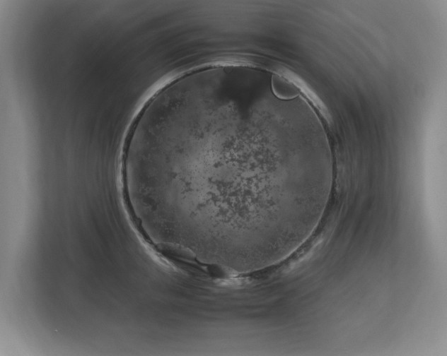 X0000112750853200908271540