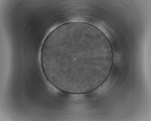 X0000112750856200908271540