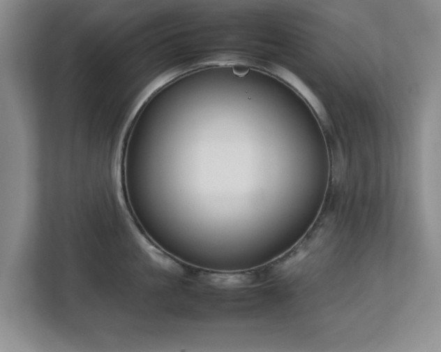 X0000112750861200908271540