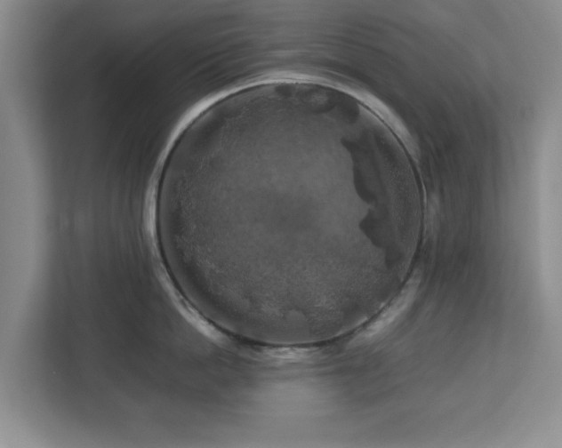 X0000112750862200908271540