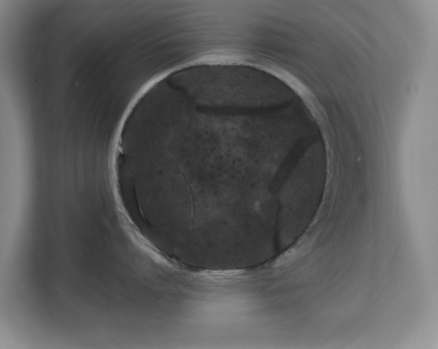 X0000112750864200908271540