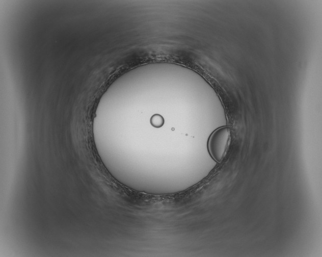 X0000112750865200908271540