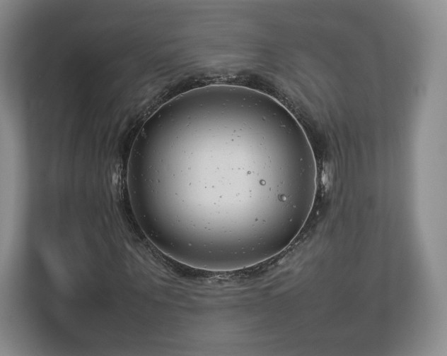 X0000112750867200908271540