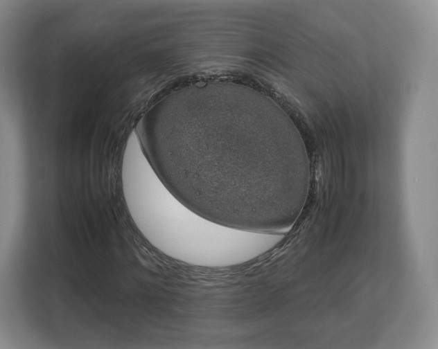 X0000112750868200908271540