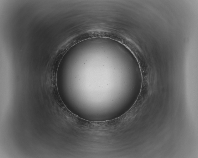 X0000112750870200908271540