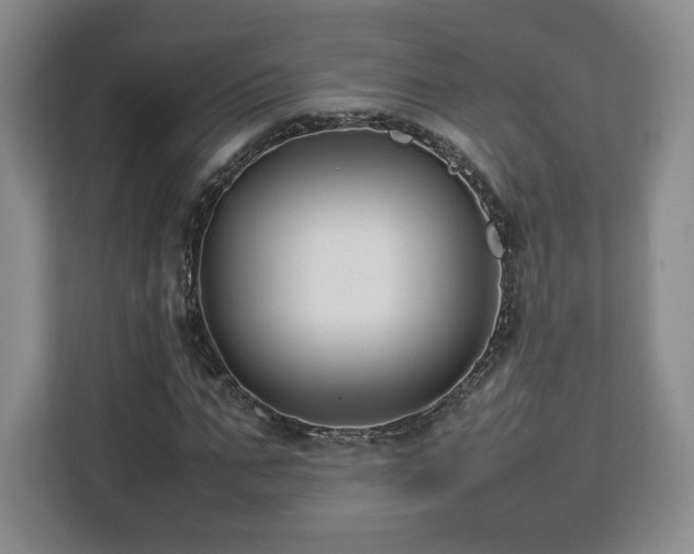 X0000112750871200908271540