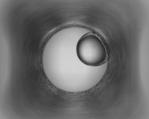 X0000112750872200908271540