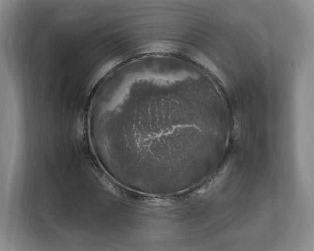 X0000112750874200908271540