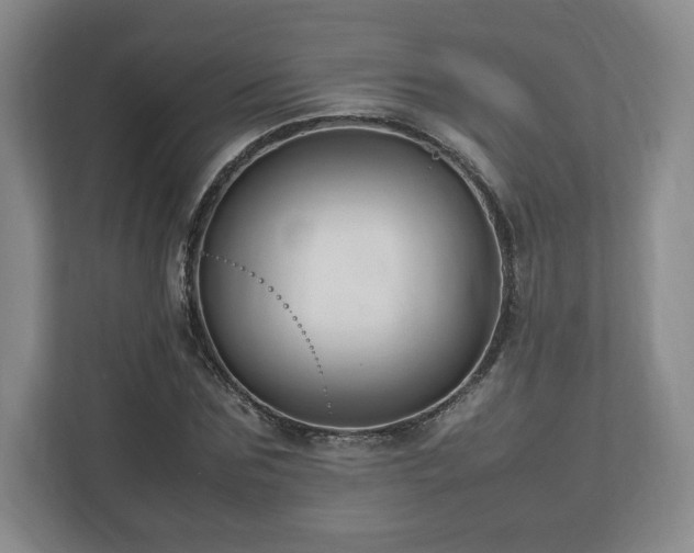 X0000112750875200908271540