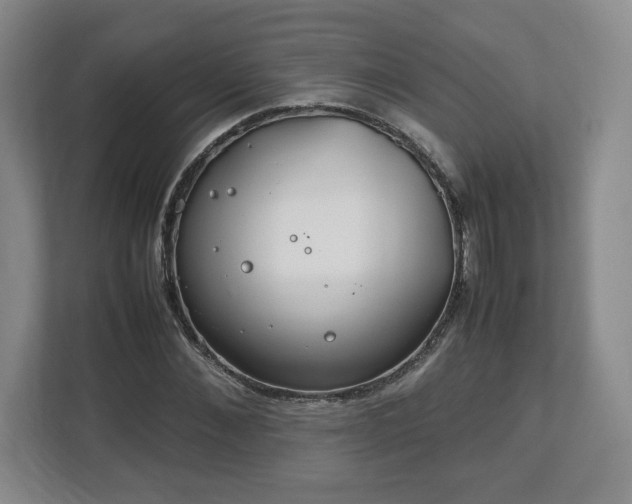 X0000112750876200908271540