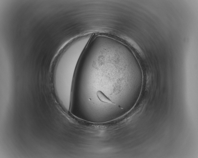 X0000112750878200908271540