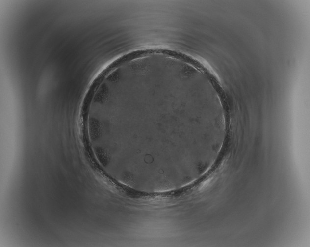 X0000112750879200908271540