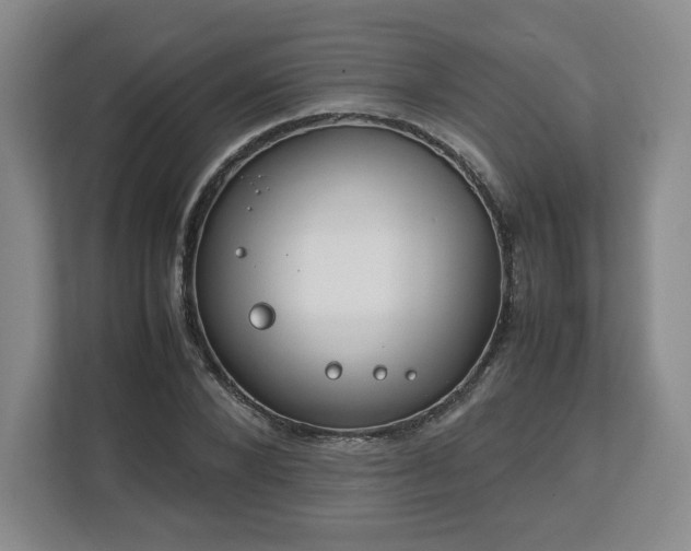 X0000112750880200908271540