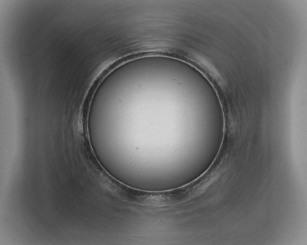 X0000112750883200908271540