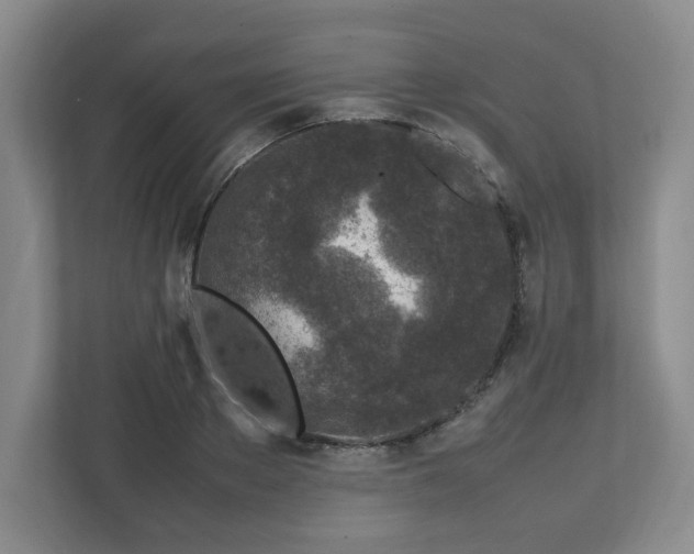 X0000112750889200908271539