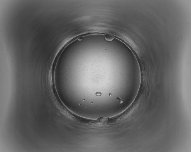 X0000112750891200908271539