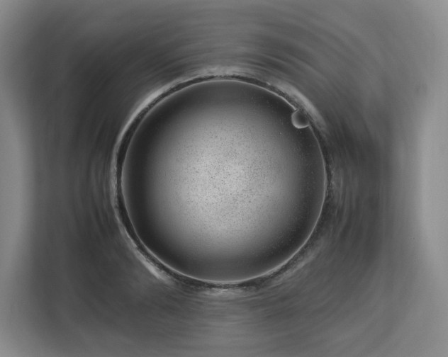 X0000112750894200908271539