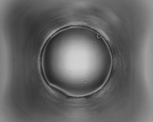 X0000112750895200908271539