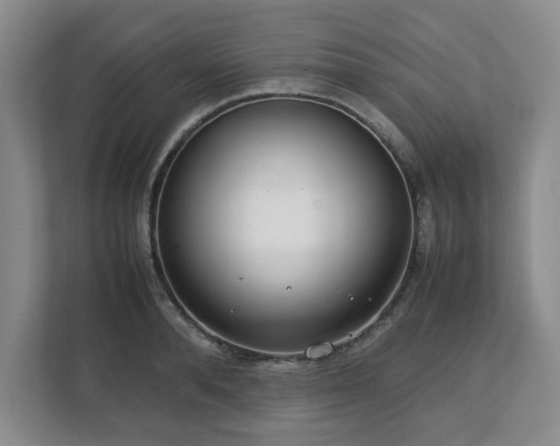 X0000112750896200908271539