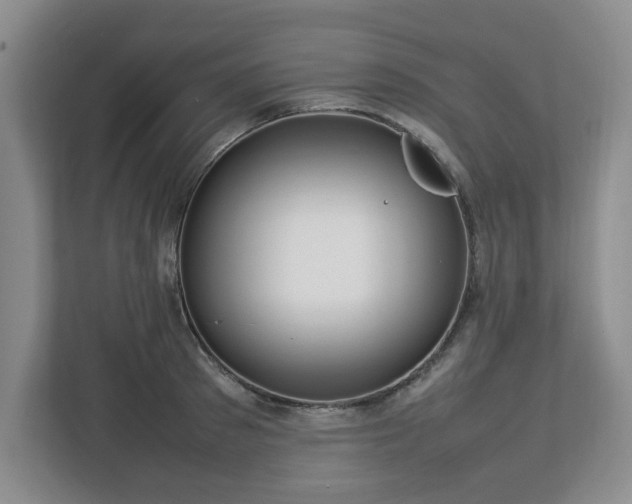 X0000112750897200908271539