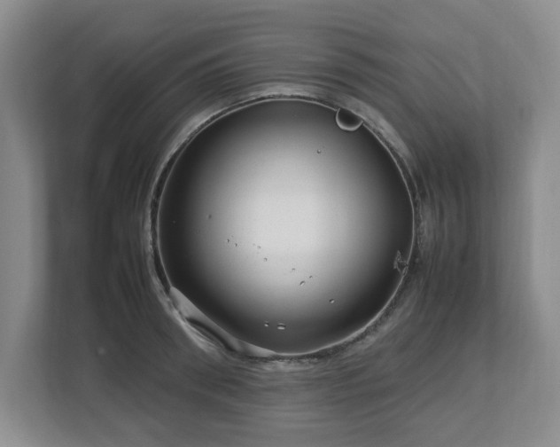 X0000112750898200908271539