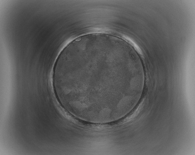 X0000112750899200908271539