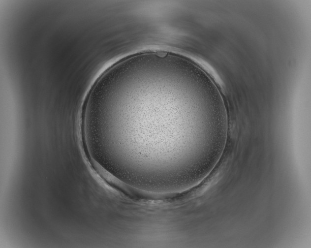 X0000112750903200908271539