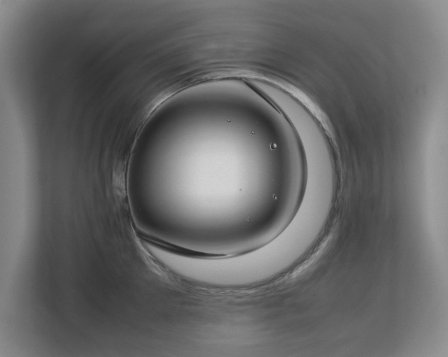 X0000112750905200908271539