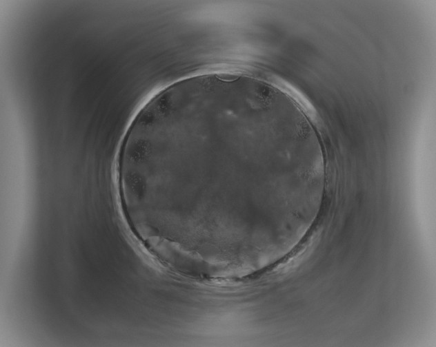 X0000112750907200908271539