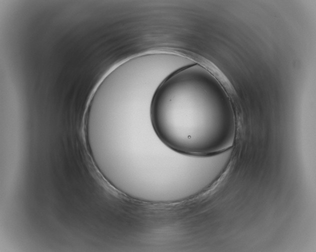 X0000112750908200908271539