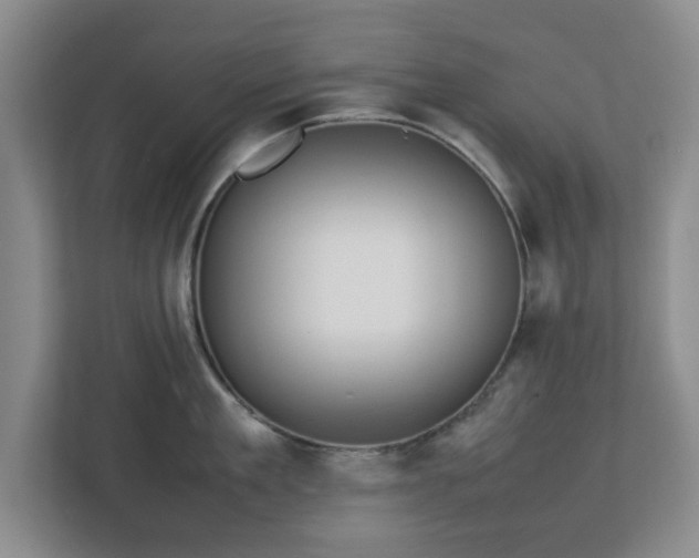 X0000112750909200908271539