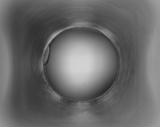 X0000112750912200908271539