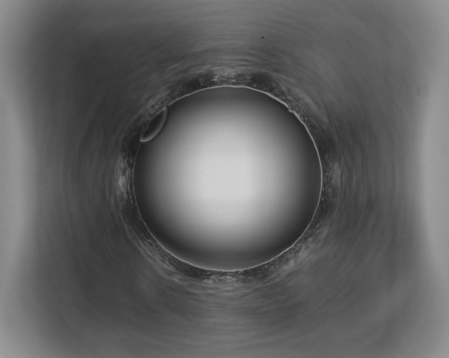 X0000112750914200908271539