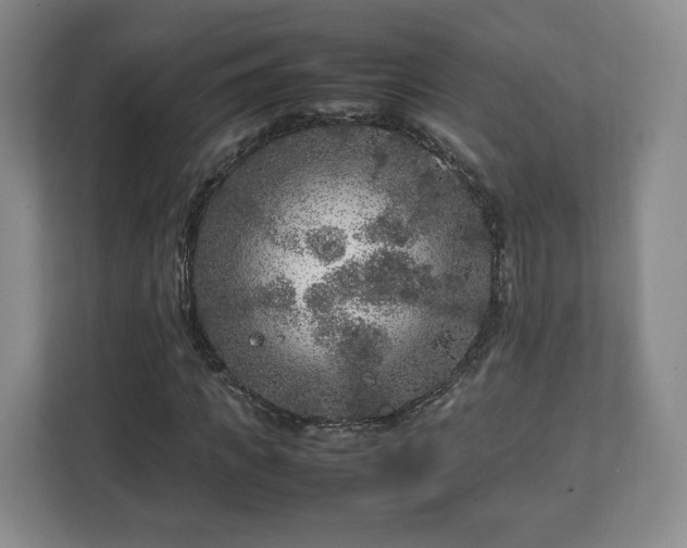 X0000112750917200908271539