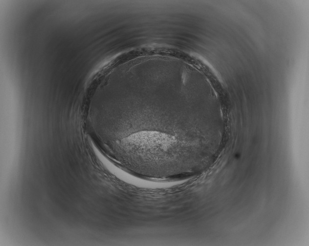 X0000112750919200908271539