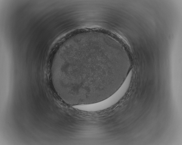 X0000112750920200908271539