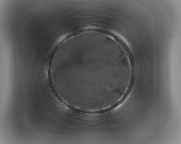 X0000112750921200908271539