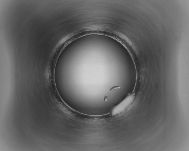 X0000112750922200908271539