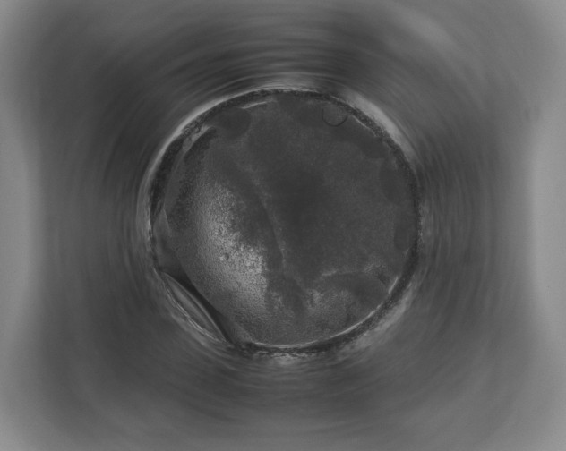 X0000112750923200908271539