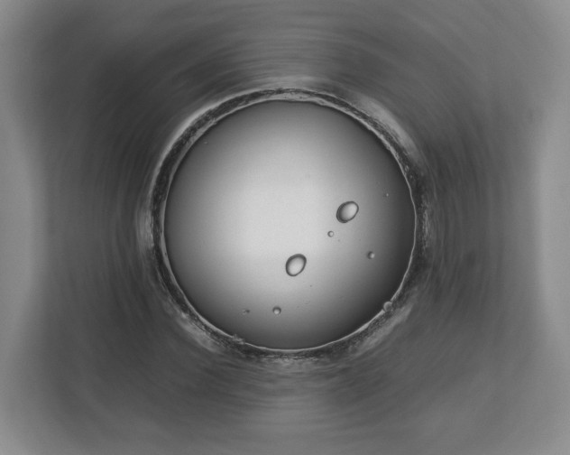 X0000112750924200908271539