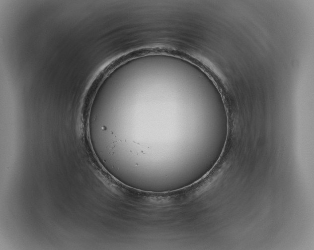 X0000112750927200908271539