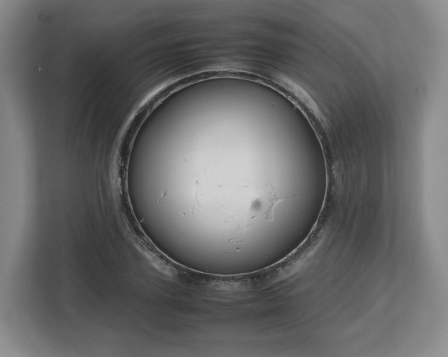 X0000112750931200908271539