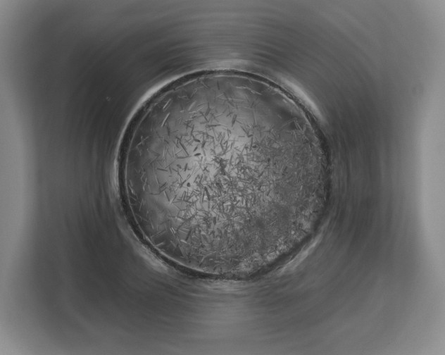 X0000112750932200908271539