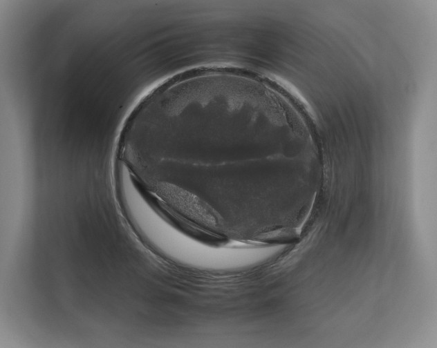 X0000112750935200908271539